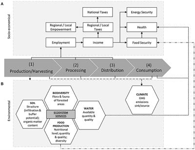 Applying the Water-Energy-Food Nexus to the Charcoal Value Chain